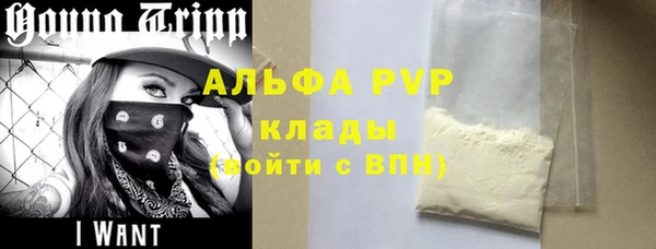 молекула духа Козельск