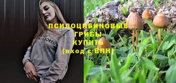 спиды Коряжма