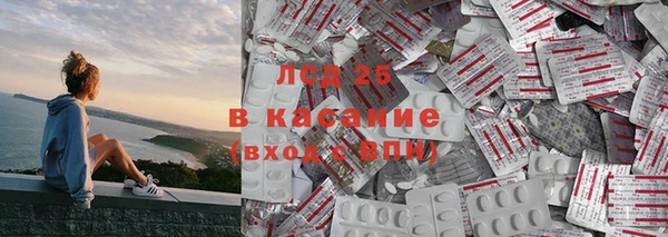 молекула духа Козельск